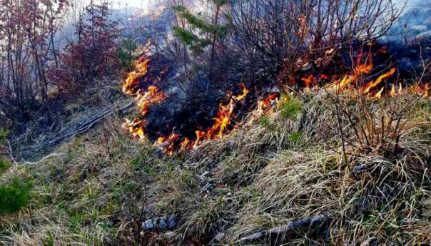 Stanje na požarištima stabilno, nije potrebna pomoć helikoptera