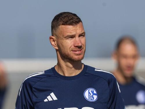 Stigle pozitivne vijesti o Džeki koje će obradovati navijače BiH