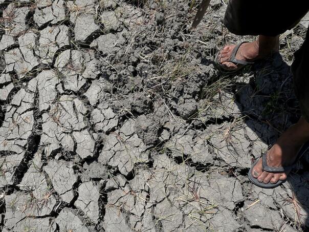 Stiže najjači El Niño u historiji? Naredna godina bi mogla oboriti rekord