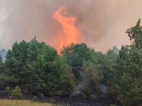 Stolac: Požar u Gornjem Hodovu trenutno ne prijeti kućama