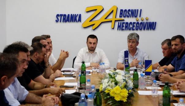 Stranka za BiH: Ne može entitet poništavati državne zakone