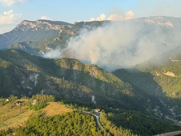 Strašni prizori: Vatra guta borovu šumu iznad Konjica
