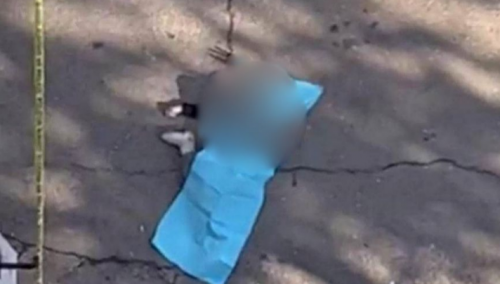 Strava u Konjicu: Ženska osoba pala s 11. sprata, mrtva na licu mjesta