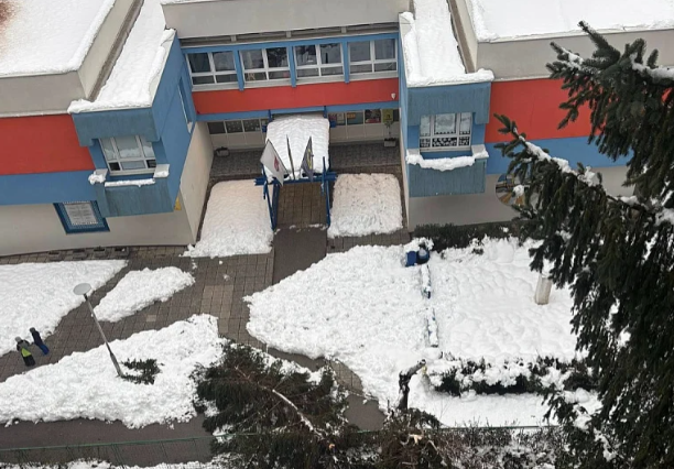 Stravična opasnost: Pao bor ispred osnovne škole na Grbavici