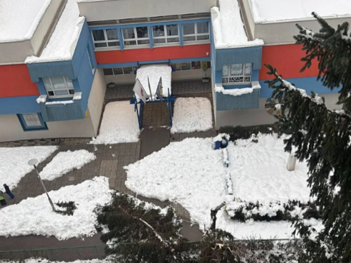 Stravična opasnost: Pao bor ispred osnovne škole na Grbavici