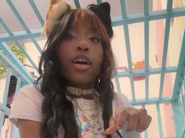 Streamerica se predstavlja kao pas, a sada traži i operativni zahvat