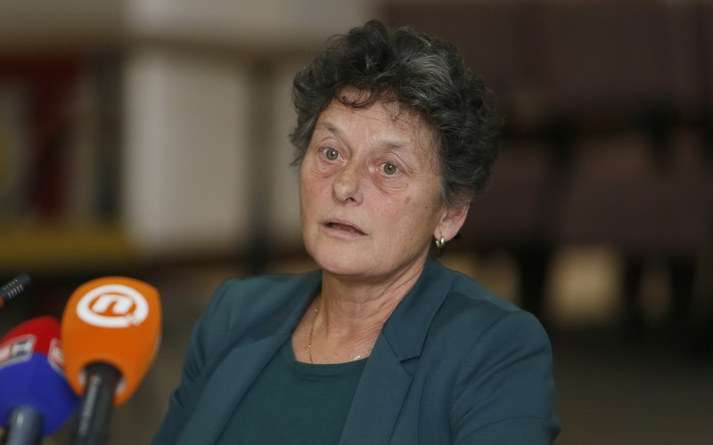 Strik: EU da bezuslovno podrži održavanje izbora u BiH