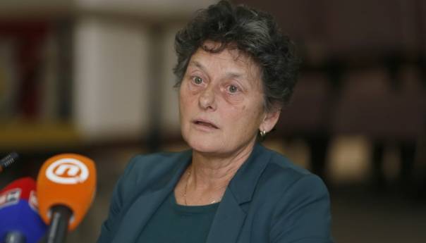 Strik: EU da bezuslovno podrži održavanje izbora u BiH