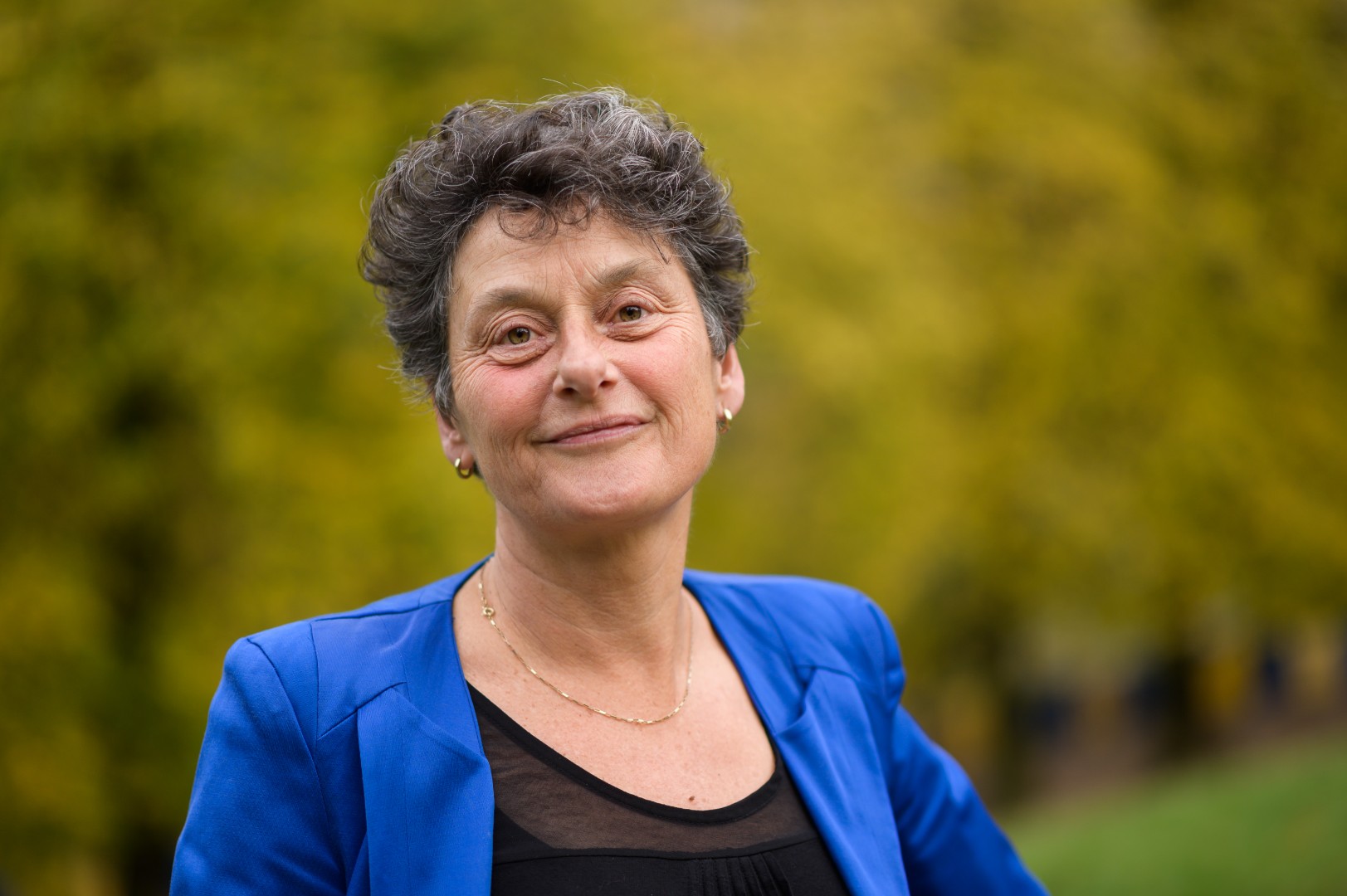 Strik: Schmidt mijenja Izborni zakon BiH u korist HDZ-a