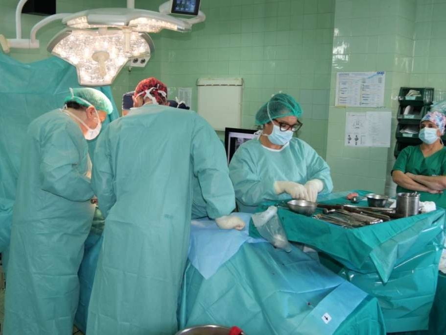 Stručnjaci iz dijaspore pomažu zdravstvenom sistemu BiH