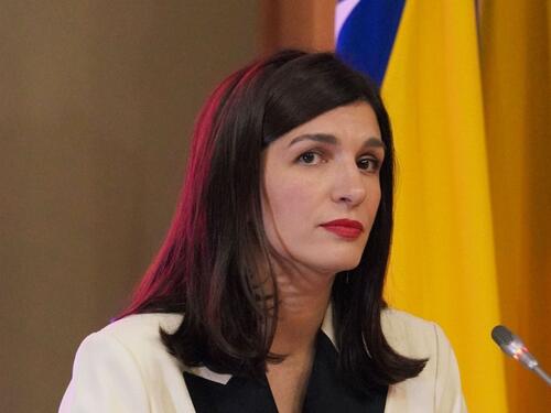 Stručnjaci iz dijaspore u oktobru na listama Naše stranke