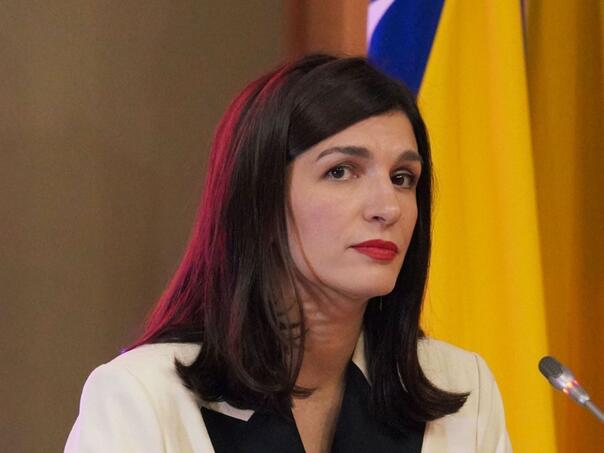 Stručnjaci iz dijaspore u oktobru na listama Naše stranke