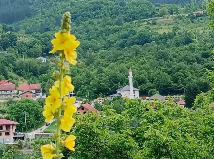 Sud presudio: Kleveta tvrdnje Trlina da je džamija u Donjem Selu protupravno izgrađena na njegovom zemljištu
