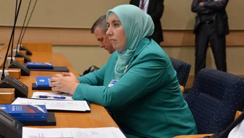 Šulić nema legitimitet bošnjačkog naroda, ne može biti potpredsjednik NSRS