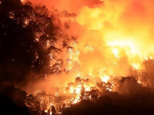 Šumski požar bjesni Kalifornijom, gasi ga više od 600 vatrogasaca