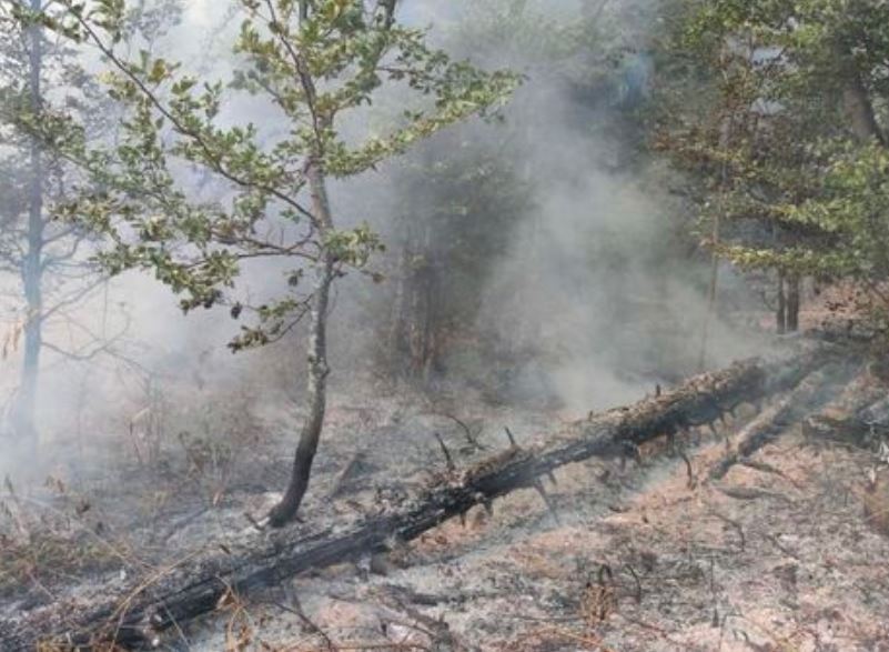 Šumski požar na lokalitetu Garački potok i dalje aktivan