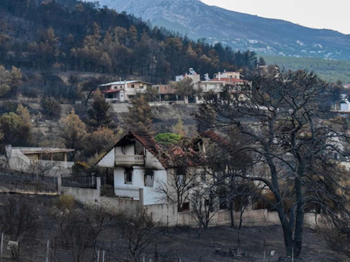 Šumski požar u Grčkoj uništio površinu veću od New Yorka