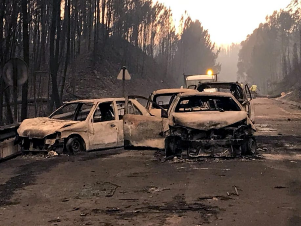 Šumski požar u Portugalu uništio 64.000 hektara vegetacije