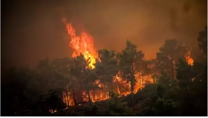 Šumski požari i dalje aktivni na grčkim ostrvima
