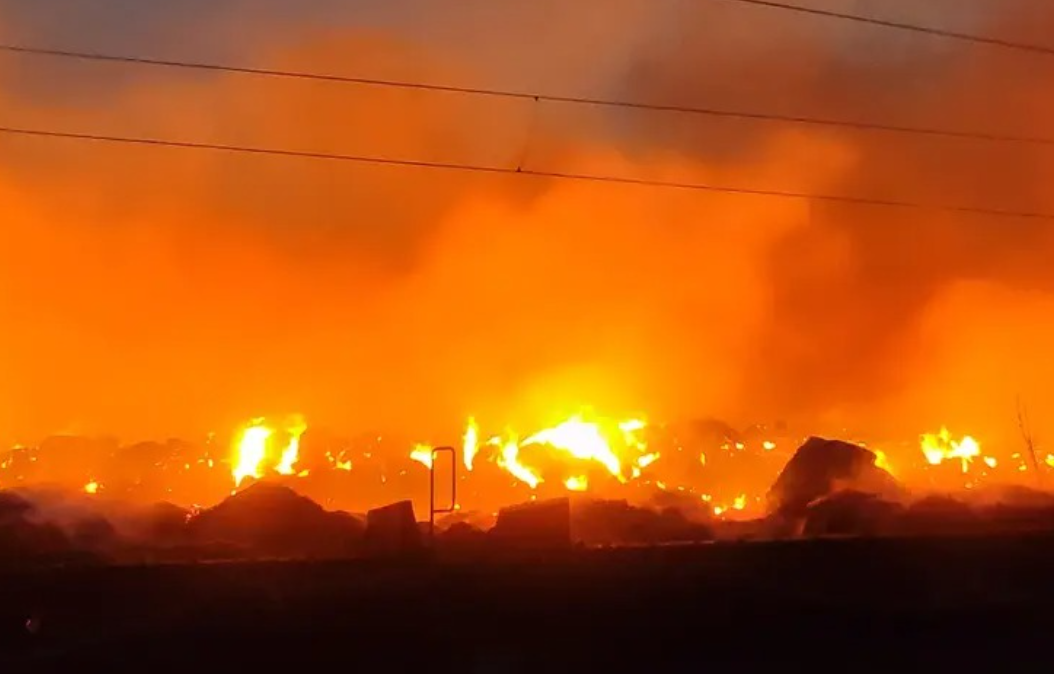 Šumski požari širom Bugarske, uništene kuće i velike površine šuma
