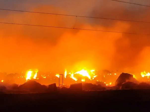 Šumski požari širom Bugarske, uništene kuće i velike površine šuma