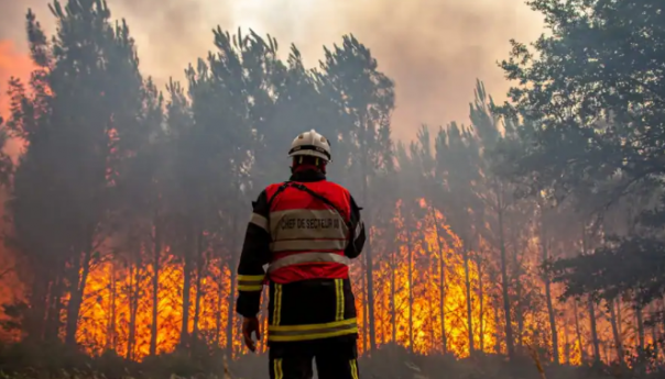 Šumski požari u Francuskoj i Španiji usred toplotnog vala