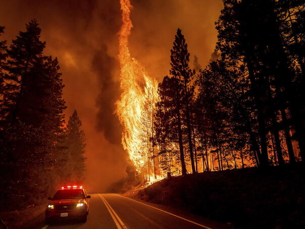 Šumski požari u Kaliforniji se širi, hiljade vatrogasaca na terenu