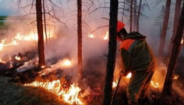 Šumski požari u Rusiji zahvatili više od 165.000 hektara