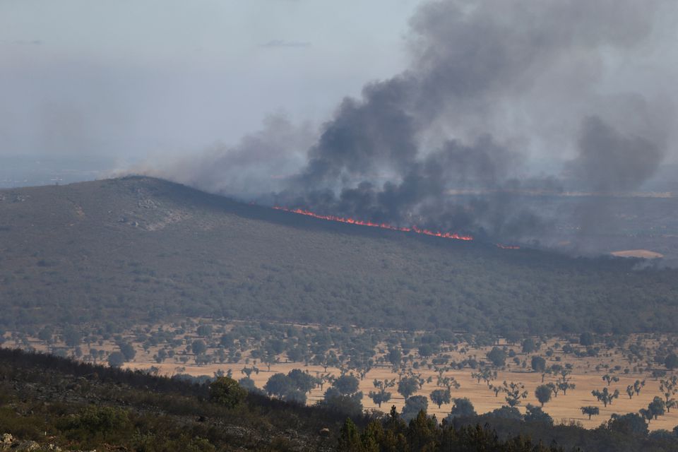 Šumski požari u Španiji i Maroku uzrokovali rekordne emisije ugljika