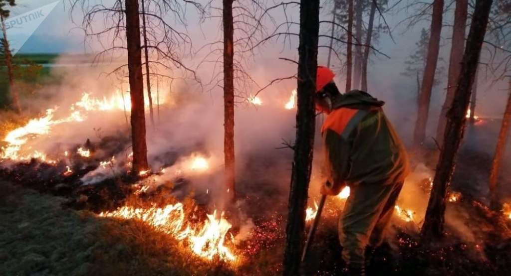 Šumski požari zahvatili Sibir, više od 4.000 požara u ovoj godini