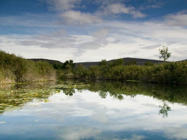 Sunčan vikend pred nama, temperature do 36 stepeni