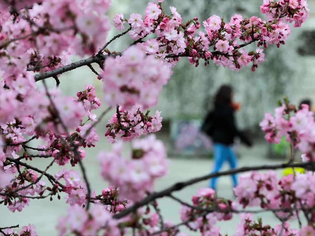 Sunčano i toplo širom BiH, temperature do 25 stepeni