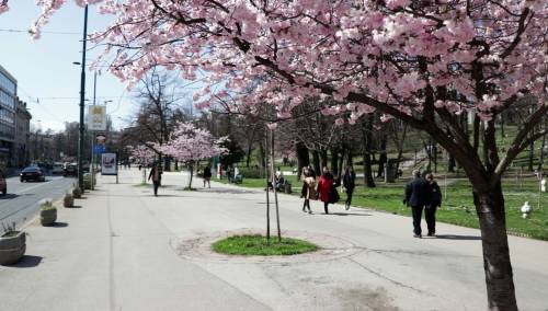 Sunčano jutro u BiH, najviša dnevna temperatura zraka danas između 17 i 23°C