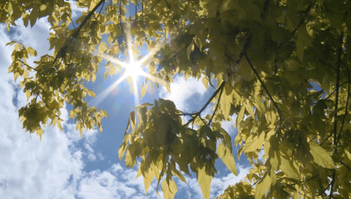 Sunčano jutro u BiH, Sokolac sa 6 stepeni, Neum najtopliji sa 21 stepenom