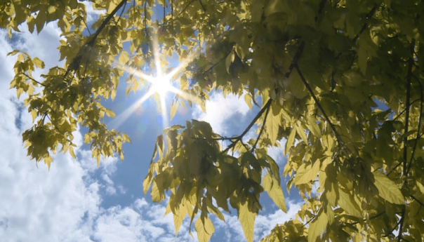 Sunčano jutro u BiH, Sokolac sa 6 stepeni, Neum najtopliji sa 21 stepenom