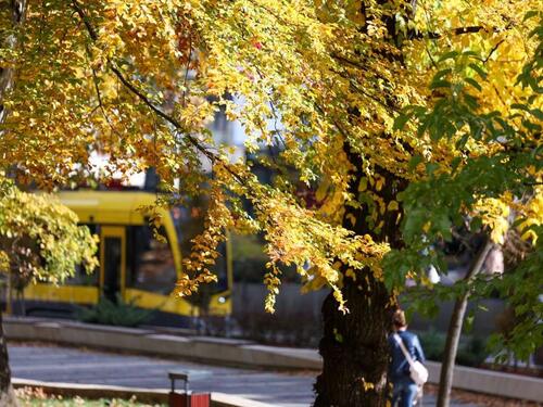 Sunčano širom BiH: Temperature do 19 stepeni