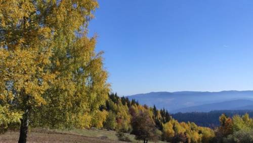Sutra djelomično vedro u cijeloj zemlji, prijepodne magla po kotlinama