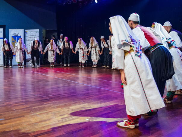 Sutra koncert 'Igrom i pjesmom Bosni i Hercegovini'