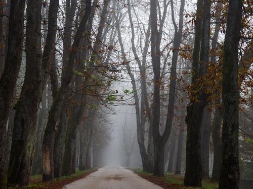 Sutra magla i niska oblačnost širom Bosne, u jutarnjim satima minusi