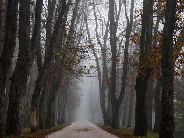 Sutra magla i niska oblačnost širom Bosne, u jutarnjim satima minusi