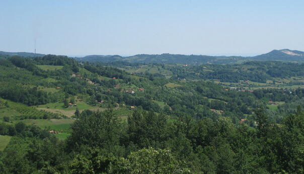 Svađa pijanih prijatelja kulminirala tragedijom