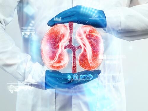 Svaka deseta osoba ima problem s bubrezima, važno je rano otkrivanje