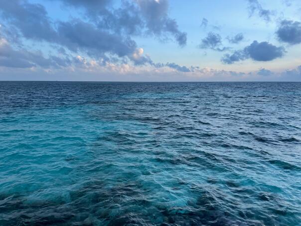 Svaki dio okeana pod prijetnjom klimatskih promjena, gubitka bioraznolikosti i onečišćenja