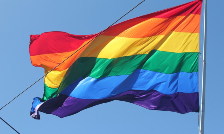 Švicarci na referendumu o homoseksualnim brakovima