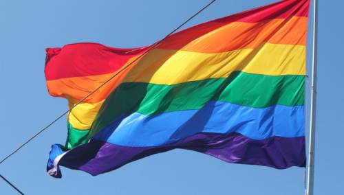 Švicarci na referendumu o homoseksualnim brakovima