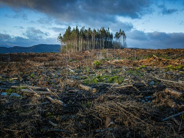 Svijet se mijenja zbog klimatskih promjena: Stiže nešto još gore