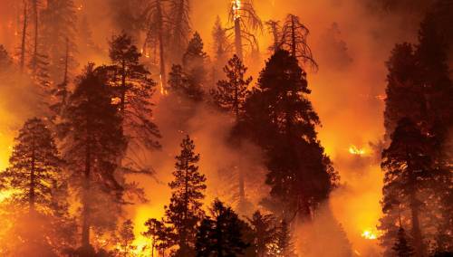 Svijet se mora pripremiti za još ekstremnije šumske požare