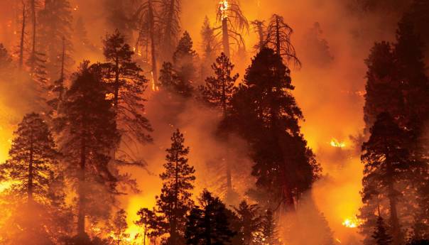 Svijet se mora pripremiti za još ekstremnije šumske požare