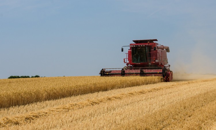 Svjetske cijene hrane nastavile rasti u januaru