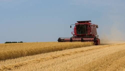 Svjetske cijene hrane nastavile rasti u januaru